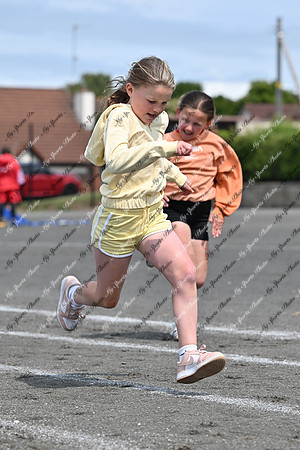Tandragee PS-41