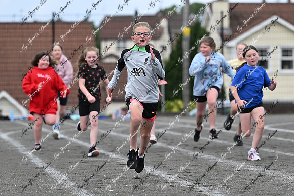 Tandragee PS-117