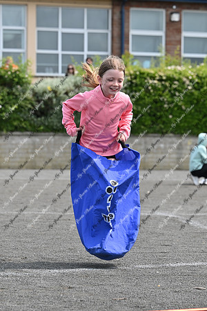 Tandragee PS-130