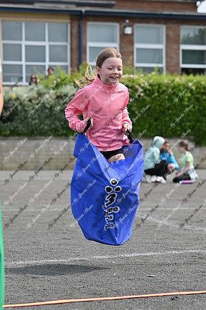 Tandragee PS-132