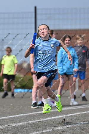 Tandragee PS-355